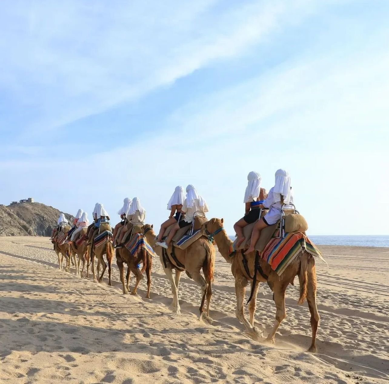 Copy_CABO SAN LUCAS VIBE